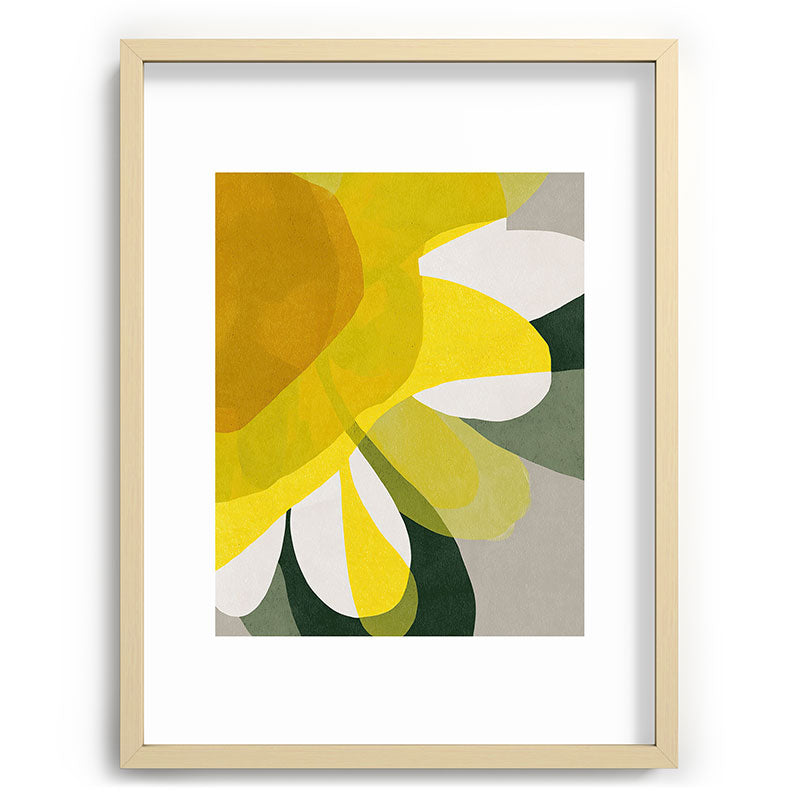 Petals in Full Light Framed Art Print Gallery Image 72