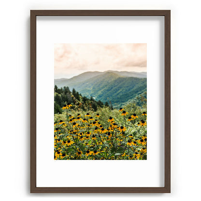 Smoky Mountains Wildflower Nature Photography Framed Art Print Gallery Image 67