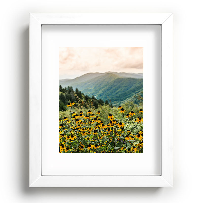 Smoky Mountains Wildflower Nature Photography Framed Art Print Gallery Image 76