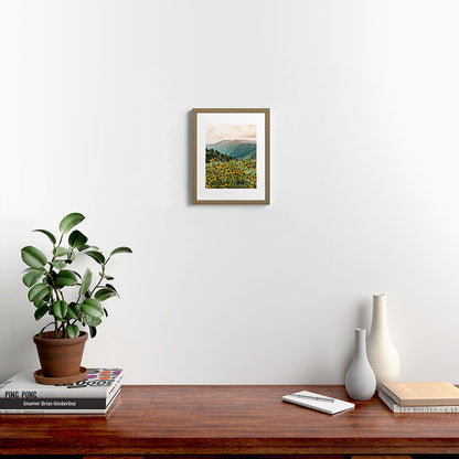 Smoky Mountains Wildflower Nature Photography Framed Art Print Gallery Image 9