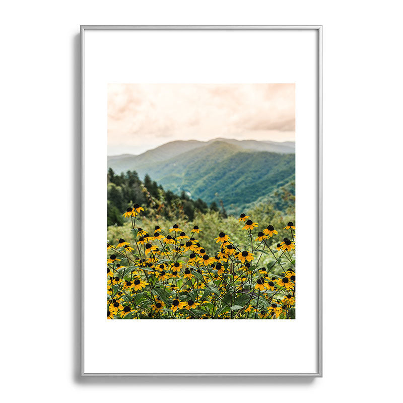 Smoky Mountains Wildflower Nature Photography Framed Art Print Gallery Image 97