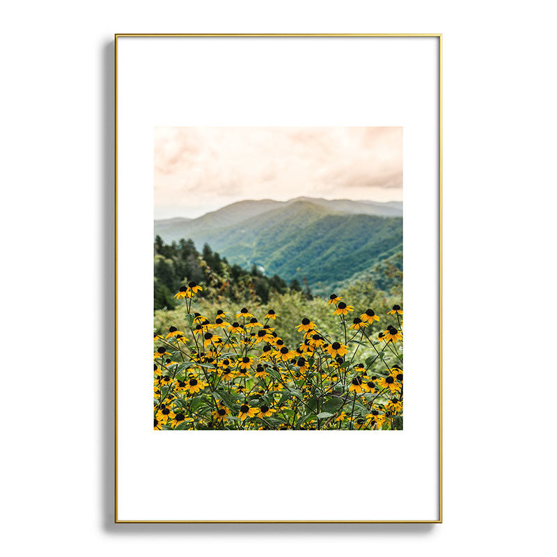 Smoky Mountains Wildflower Nature Photography Framed Art Print Gallery Image 93