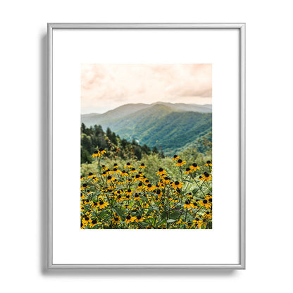 Smoky Mountains Wildflower Nature Photography Framed Art Print Gallery Image 96