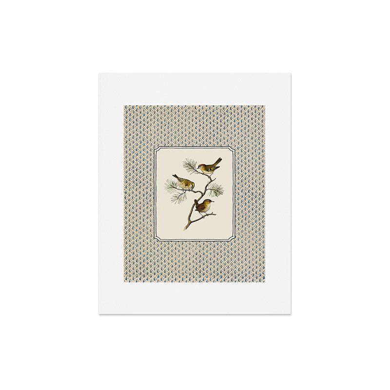 Three Wrens on a Branch Art Print Gallery Image 4