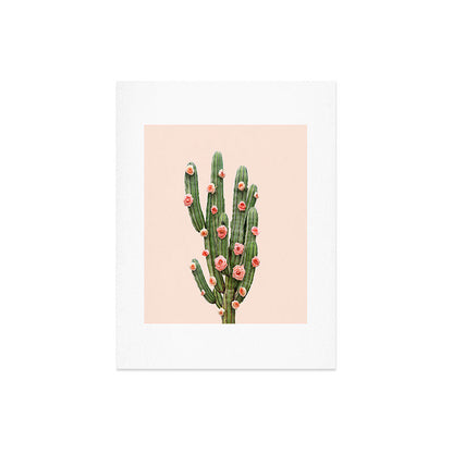 CACTUS AND ROSES Art Print Gallery Image 8