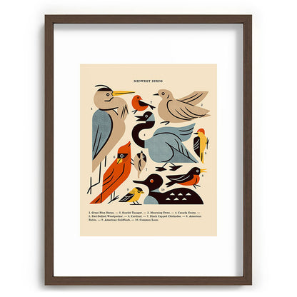Midwest Birds Guide Framed Art Print Gallery Image 91