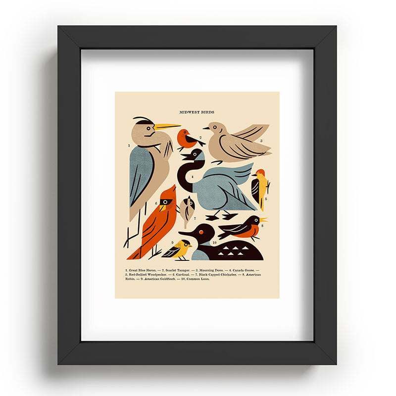 Midwest Birds Guide Framed Art Print Gallery Image 80