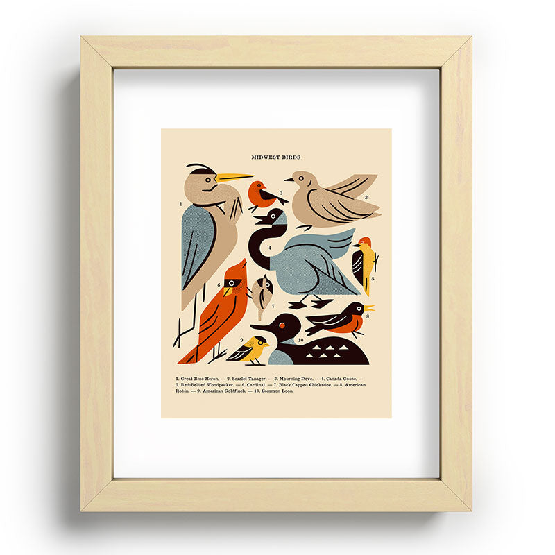 Midwest Birds Guide Framed Art Print Gallery Image 95