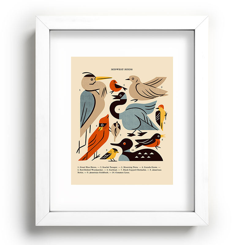 Midwest Birds Guide Framed Art Print Gallery Image 104