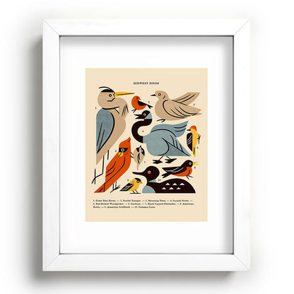 Midwest Birds Guide Framed Art Print Gallery Image 104