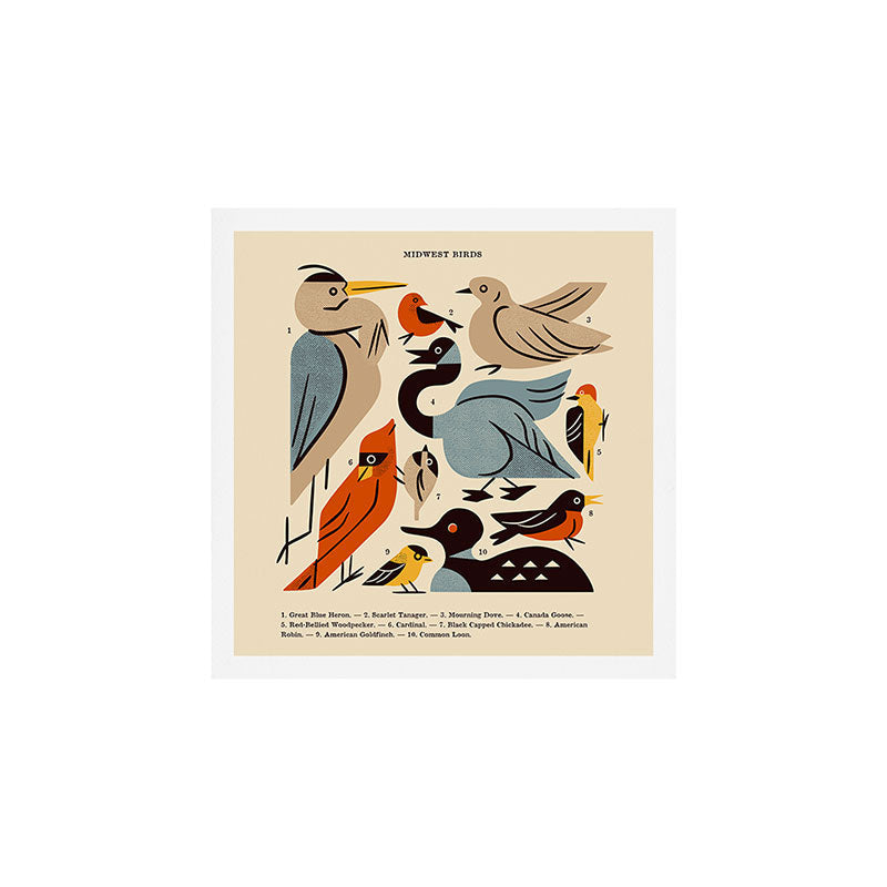Midwest Birds Guide Art Print Gallery Image 2