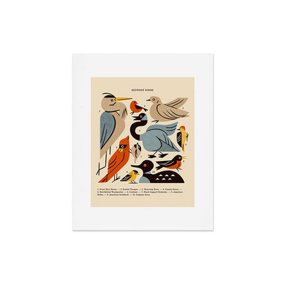 Midwest Birds Guide Art Print Gallery Image 6
