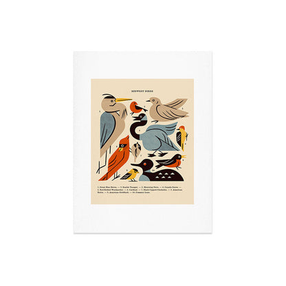 Midwest Birds Guide Art Print Gallery Image 8