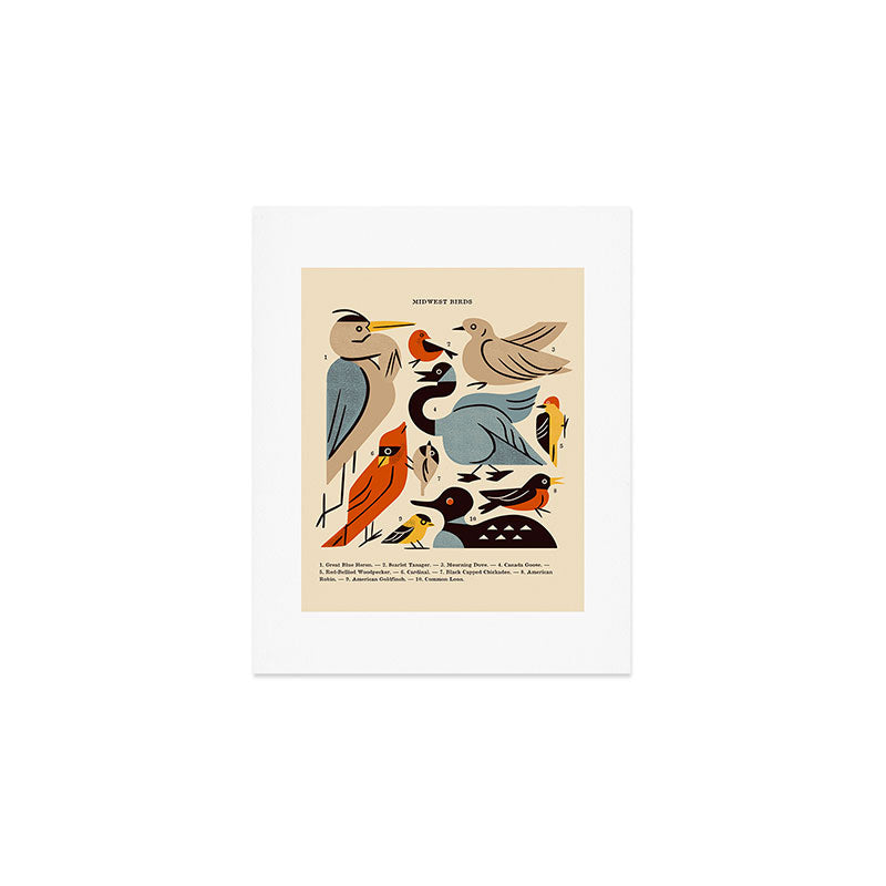 Midwest Birds Guide Art Print Gallery Image 1