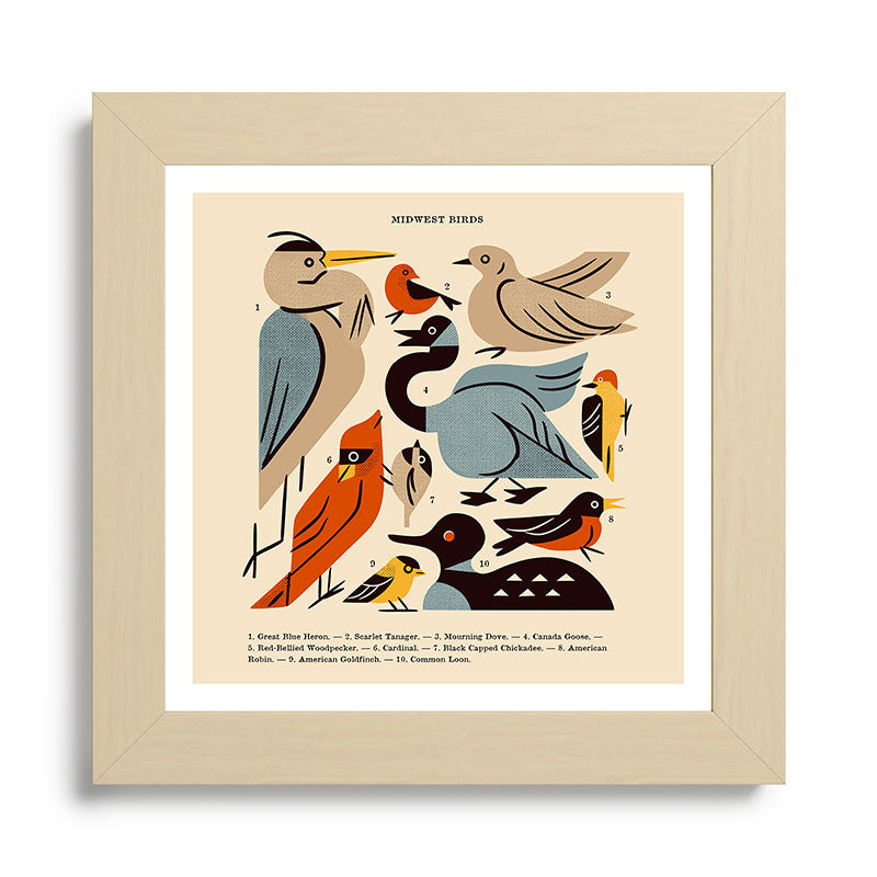Midwest Birds Guide Framed Art Print Gallery Image 68