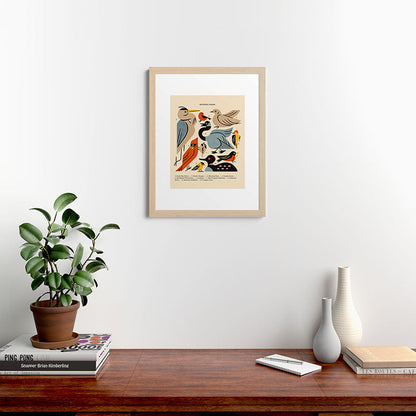 Midwest Birds Guide Framed Art Print Gallery Image 64