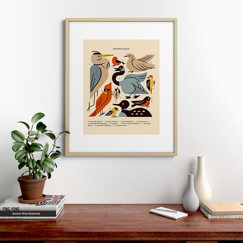 Midwest Birds Guide Framed Art Print Gallery Image 29