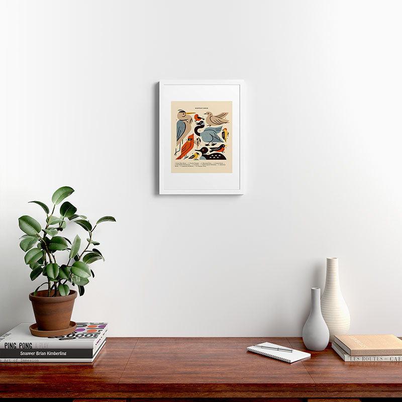 Midwest Birds Guide Framed Art Print Gallery Image 32