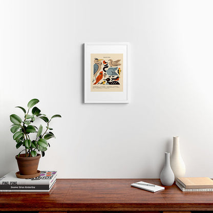 Midwest Birds Guide Framed Art Print Gallery Image 32