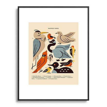 Midwest Birds Guide Framed Art Print Gallery Image 115
