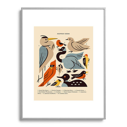Midwest Birds Guide Framed Art Print Gallery Image 135