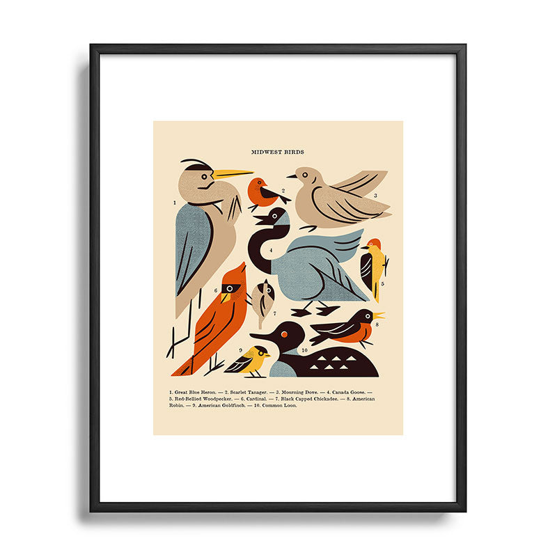 Midwest Birds Guide Framed Art Print Gallery Image 112