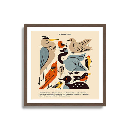 Midwest Birds Guide Framed Art Print Gallery Image 17
