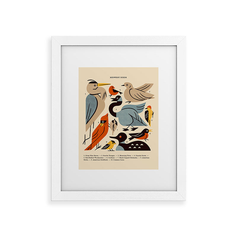 Midwest Birds Guide Framed Art Print Gallery Image 74