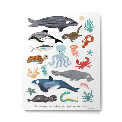 Sea Change: Ocean Animals Metal Print Gallery Image 1