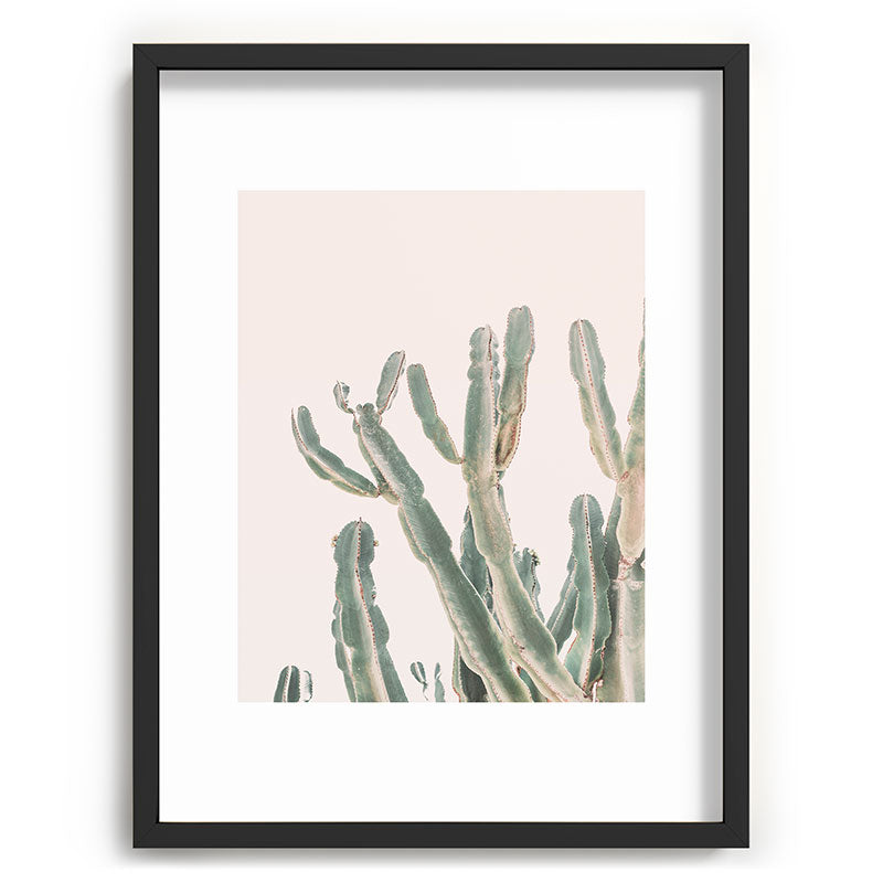 Sunrise Cactus Framed Art Print Gallery Image 61