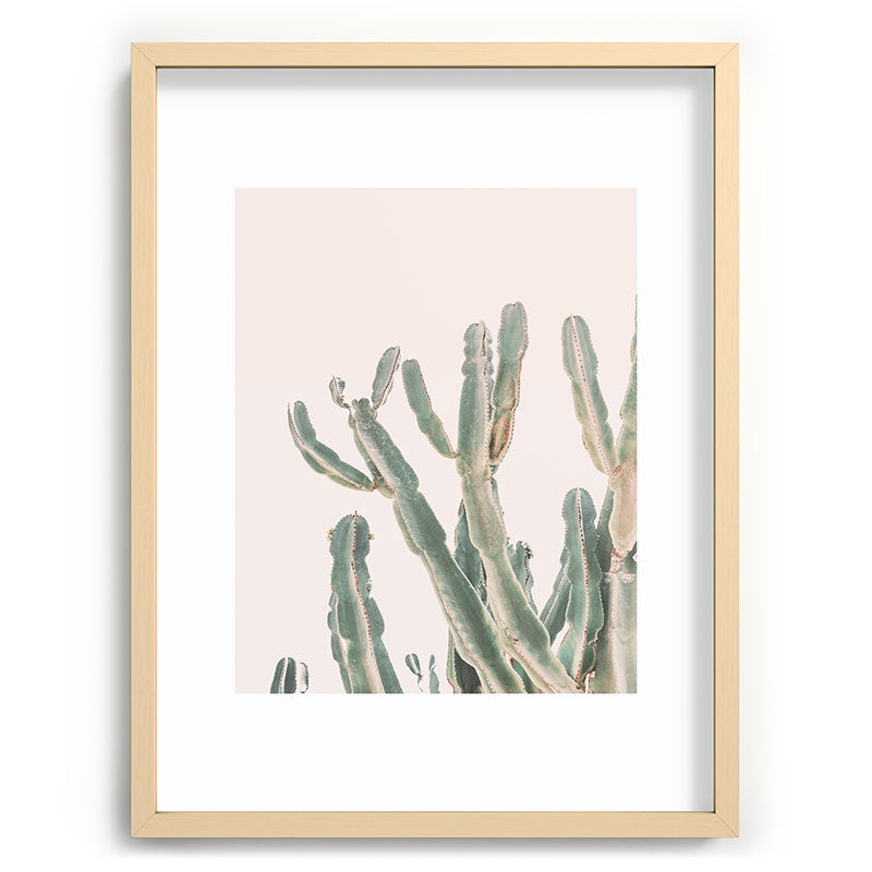 Sunrise Cactus Framed Art Print Gallery Image 73