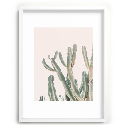 Sunrise Cactus Framed Art Print Gallery Image 79