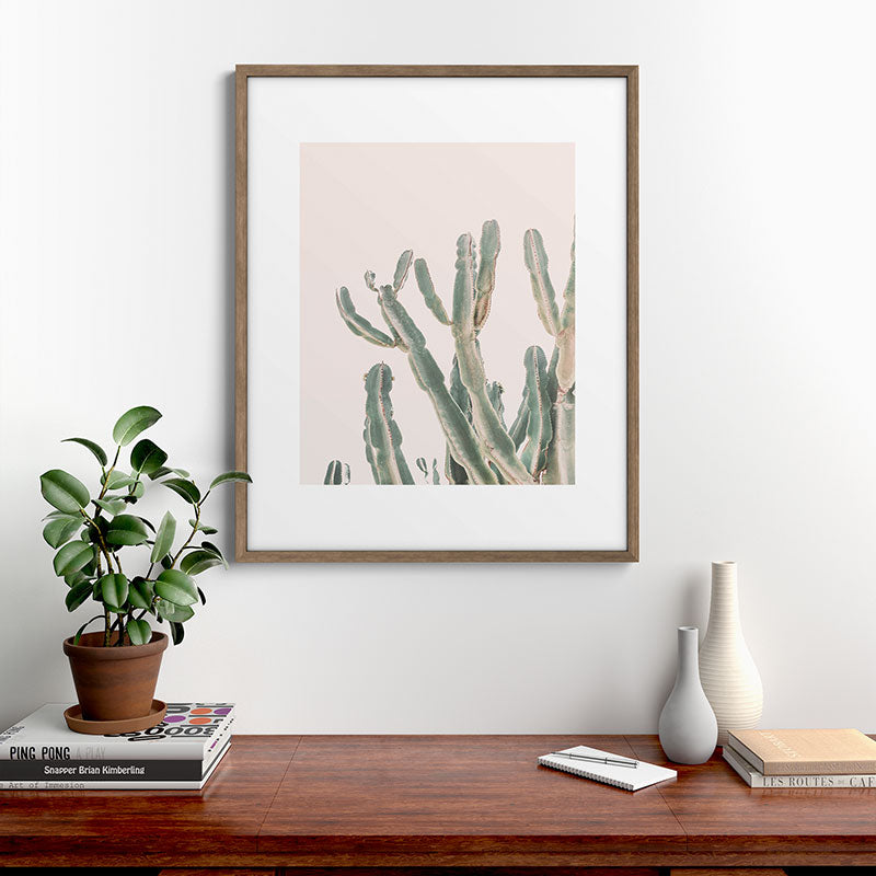 Sunrise Cactus Framed Art Print Gallery Image 14