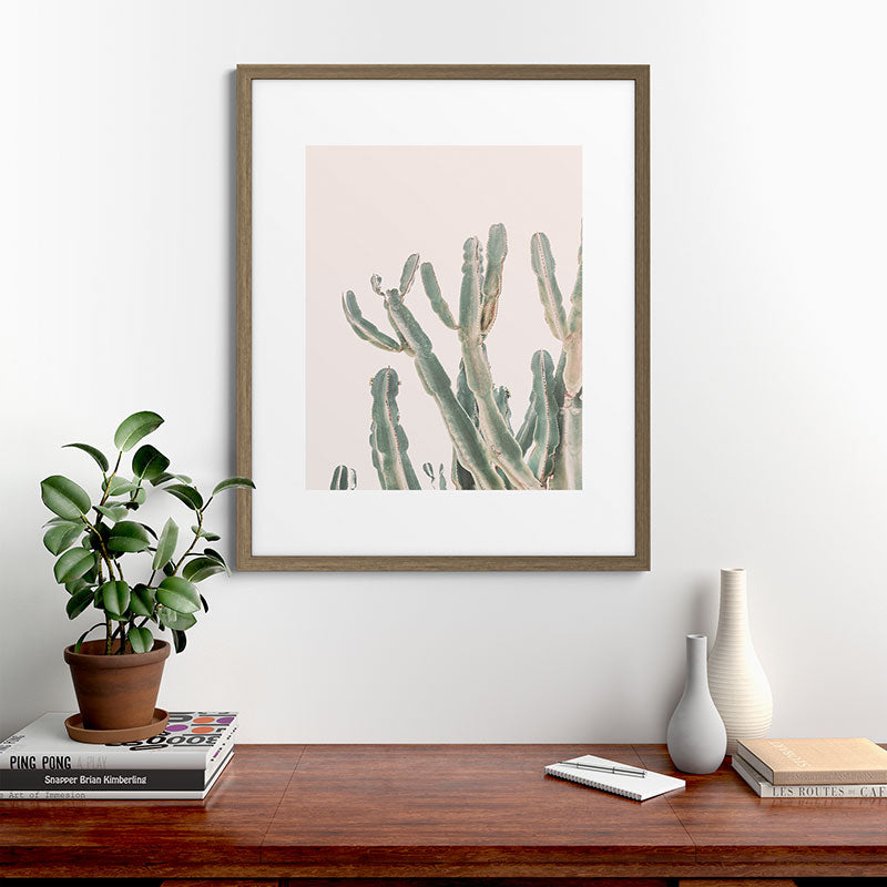 Sunrise Cactus Framed Art Print Gallery Image 42