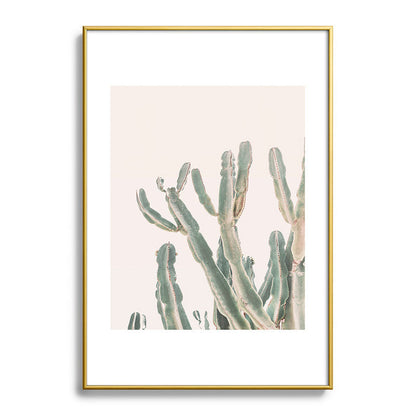 Sunrise Cactus Framed Art Print Gallery Image 90