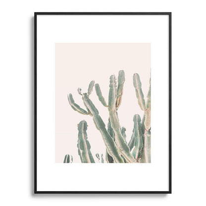 Sunrise Cactus Framed Art Print Gallery Image 85