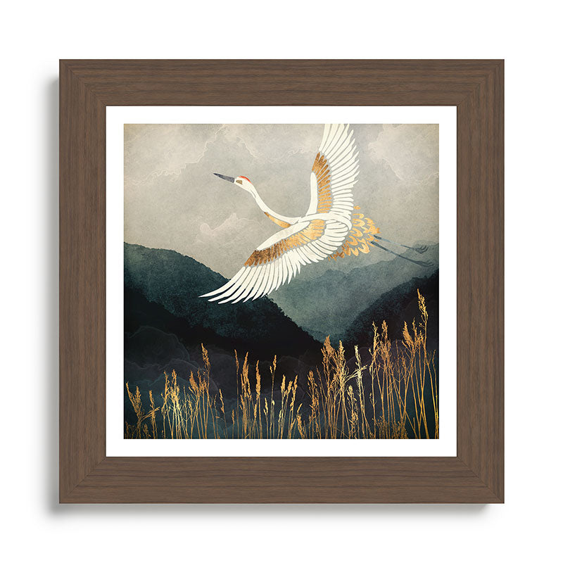 Elegant Flight Framed Art Print Gallery Image 57