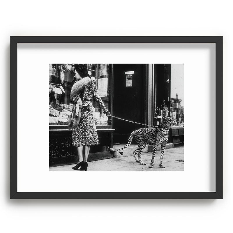 Leopard on a Leash, Black and White Vintage Art Framed Art Print Gallery Image 61