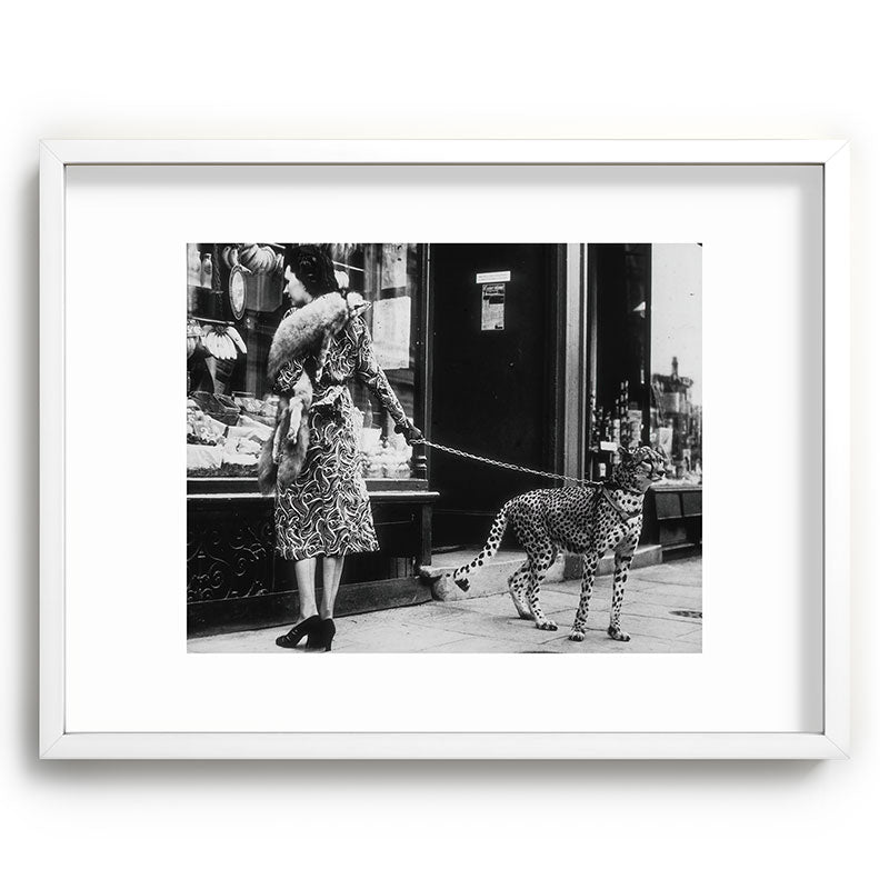 Leopard on a Leash, Black and White Vintage Art Framed Art Print Gallery Image 79
