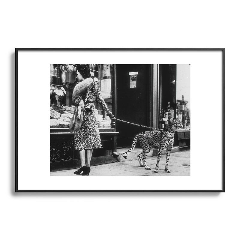 Leopard on a Leash, Black and White Vintage Art Framed Art Print Gallery Image 83
