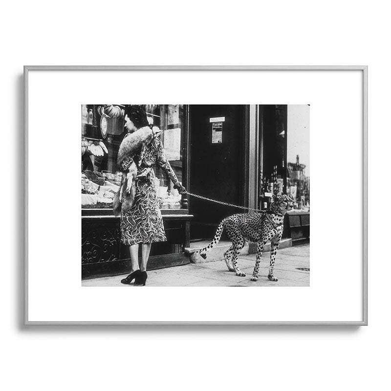 Leopard on a Leash, Black and White Vintage Art Framed Art Print Gallery Image 98
