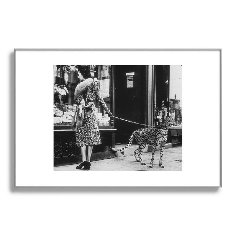 Leopard on a Leash, Black and White Vintage Art Framed Art Print Gallery Image 100